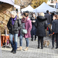 Marché de Noël à Lully 2019
Photo Alain Grosclaude 
Mention Obligatoire
Reproduction Interdite