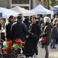 Marché de Noël à Lully 2019
Photo Alain Grosclaude 
Mention Obligatoire
Reproduction Interdite