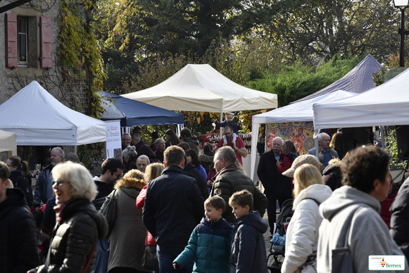 Marché de Noël à Lully 2019
Photo Alain Grosclaude 
Mention Obligatoire
Reproduction Interdite