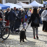 Marché de Noël à Lully 2019
Photo Alain Grosclaude 
Mention Obligatoire
Reproduction Interdite