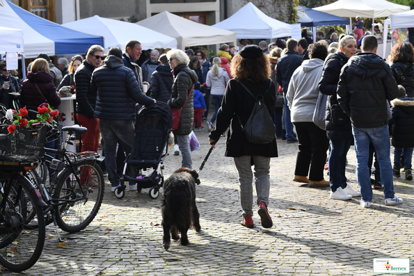 Marché de Noël à Lully 2019
Photo Alain Grosclaude 
Mention Obligatoire
Reproduction Interdite