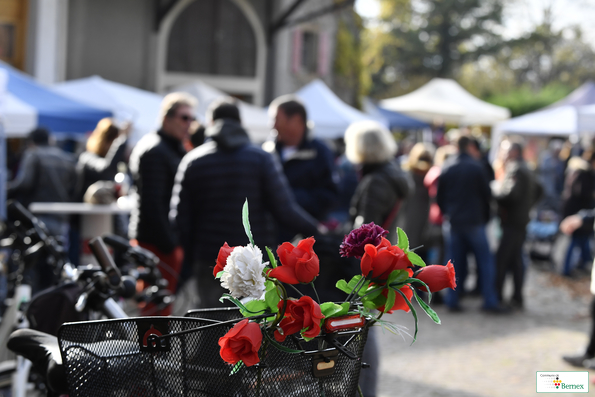 Marché de Noël à Lully 2019
Photo Alain Grosclaude 
Mention Obligatoire
Reproduction Interdite