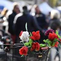 Marché de Noël à Lully 2019
Photo Alain Grosclaude 
Mention Obligatoire
Reproduction Interdite