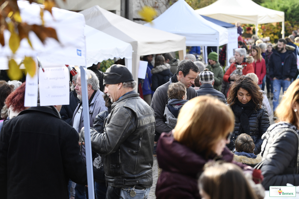 Marché de Noël à Lully 2019
Photo Alain Grosclaude 
Mention Obligatoire
Reproduction Interdite