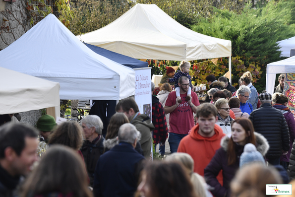 Marché de Noël à Lully 2019
Photo Alain Grosclaude 
Mention Obligatoire
Reproduction Interdite