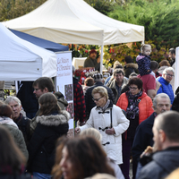 Marché de Noël à Lully 2019
Photo Alain Grosclaude 
Mention Obligatoire
Reproduction Interdite