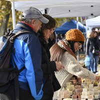 Marché de Noël à Lully 2019
Photo Alain Grosclaude 
Mention Obligatoire
Reproduction Interdite