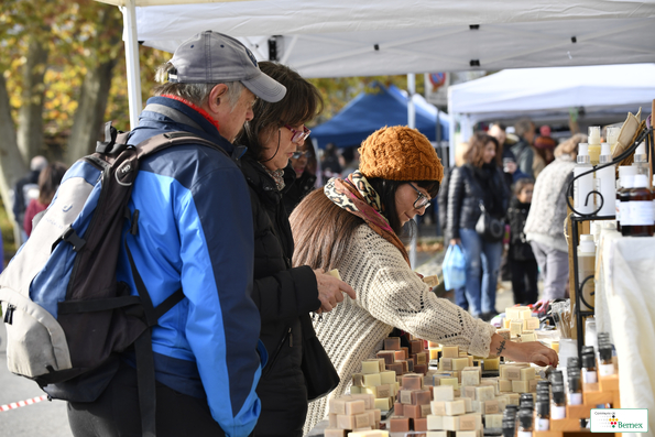 Marché de Noël à Lully 2019
Photo Alain Grosclaude 
Mention Obligatoire
Reproduction Interdite