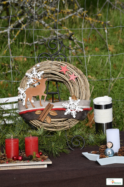 Marché de Noël à Lully 2019
Photo Alain Grosclaude 
Mention Obligatoire
Reproduction Interdite