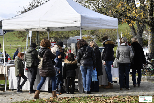 Marché de Noël à Lully 2019
Photo Alain Grosclaude 
Mention Obligatoire
Reproduction Interdite