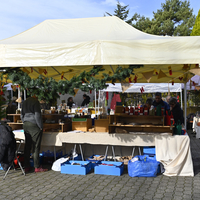 Marché de Noël à Lully 2019
Photo Alain Grosclaude 
Mention Obligatoire
Reproduction Interdite