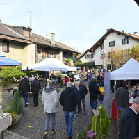 Marché de Noël à Lully 2019
Photo Alain Grosclaude 
Mention Obligatoire
Reproduction Interdite