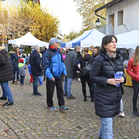 Marché de Noël à Lully 2019
Photo Alain Grosclaude 
Mention Obligatoire
Reproduction Interdite