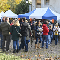 Marché de Noël à Lully 2019
Photo Alain Grosclaude 
Mention Obligatoire
Reproduction Interdite