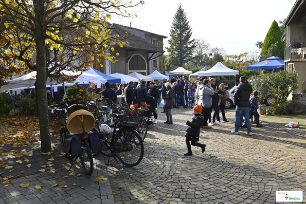 Marché de Noël à Lully 2019
Photo Alain Grosclaude 
Mention Obligatoire
Reproduction Interdite