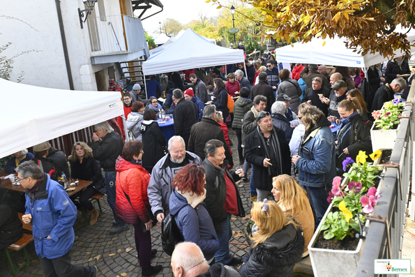 Marché de Noël à Lully 2019
Photo Alain Grosclaude 
Mention Obligatoire
Reproduction Interdite