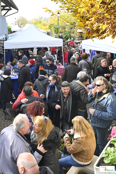 Marché de Noël à Lully 2019
Photo Alain Grosclaude 
Mention Obligatoire
Reproduction Interdite