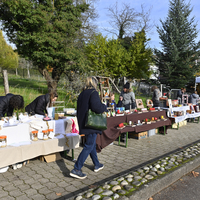 Marché de Noël à Lully 2019Photo Alain Grosclaude Mention ObligatoireReproduction Interdite