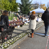 Marché de Noël à Lully 2019
Photo Alain Grosclaude 
Mention Obligatoire
Reproduction Interdite