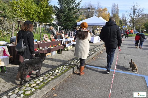 Marché de Noël à Lully 2019
Photo Alain Grosclaude 
Mention Obligatoire
Reproduction Interdite