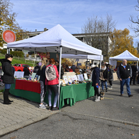 Marché de Noël à Lully 2019Photo Alain Grosclaude Mention ObligatoireReproduction Interdite