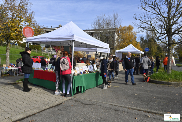 Marché de Noël à Lully 2019Photo Alain Grosclaude Mention ObligatoireReproduction Interdite