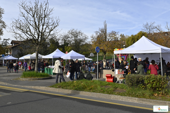 Marché de Noël à Lully 2019
Photo Alain Grosclaude 
Mention Obligatoire
Reproduction Interdite