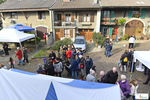 Marché de Noël à Lully 2019
Photo Alain Grosclaude 
Mention Obligatoire
Reproduction Interdite