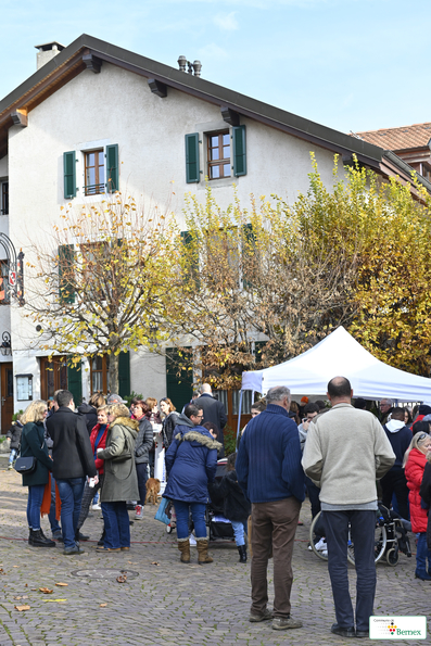 Marché de Noël à Lully 2019
Photo Alain Grosclaude 
Mention Obligatoire
Reproduction Interdite