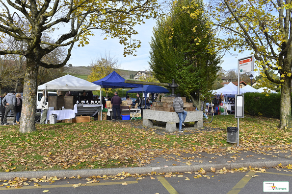 Marché de Noël à Lully 2019
Photo Alain Grosclaude 
Mention Obligatoire
Reproduction Interdite