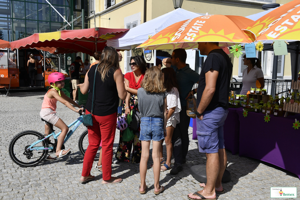 Marché Bernex / Bourses aux vélo 2019
Photo Alain Grosclaude 
Mention Obligatoire
Reproduction Interdite