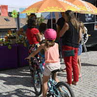 Marché Bernex / Bourses aux vélo 2019
Photo Alain Grosclaude 
Mention Obligatoire
Reproduction Interdite