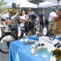 Marché Bernex / Bourses aux vélo 2019
Photo Alain Grosclaude 
Mention Obligatoire
Reproduction Interdite