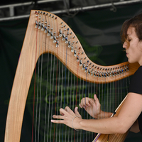 Bernex 19
Musique Celtique 2019
Photo Alain Grosclaude 
Mention Obligatoire
Reproduction Interdite