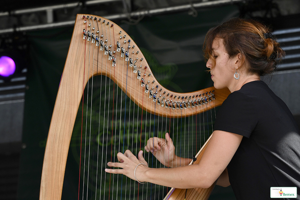 Bernex 19
Musique Celtique 2019
Photo Alain Grosclaude 
Mention Obligatoire
Reproduction Interdite